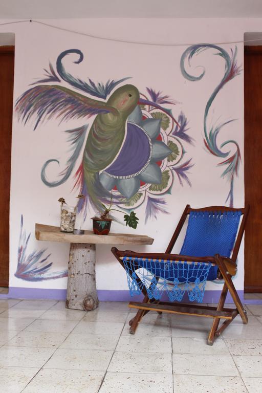 Akasha Hostel Merida Exterior photo